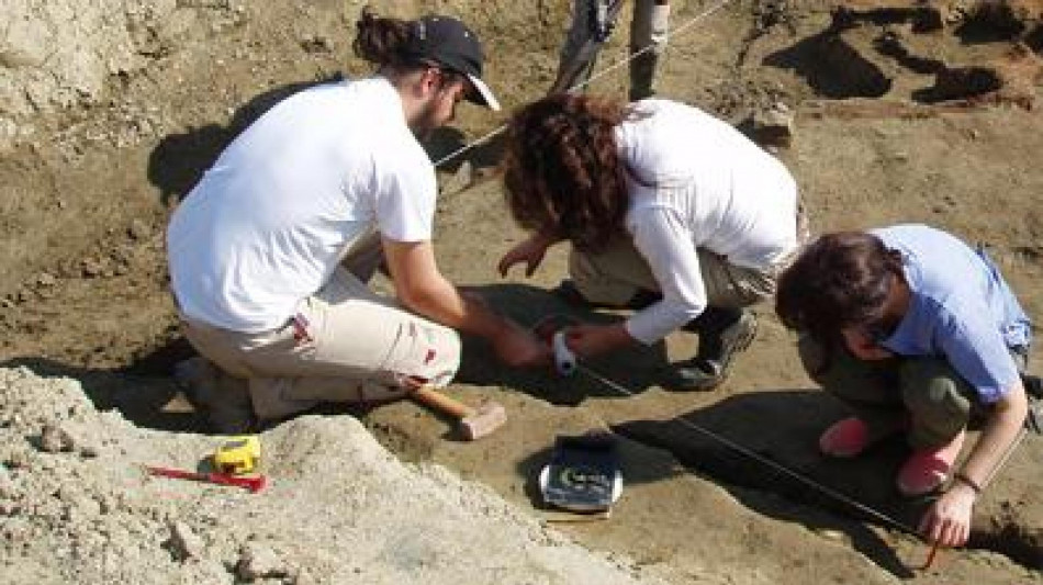 Ricostruita la morte di 2 baby-pterosauri, per una tempesta