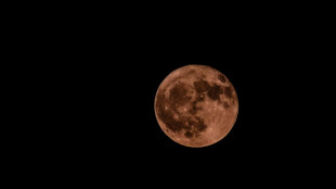 La Nasa indietro nella corsa alla Luna cerca alternative a Musk