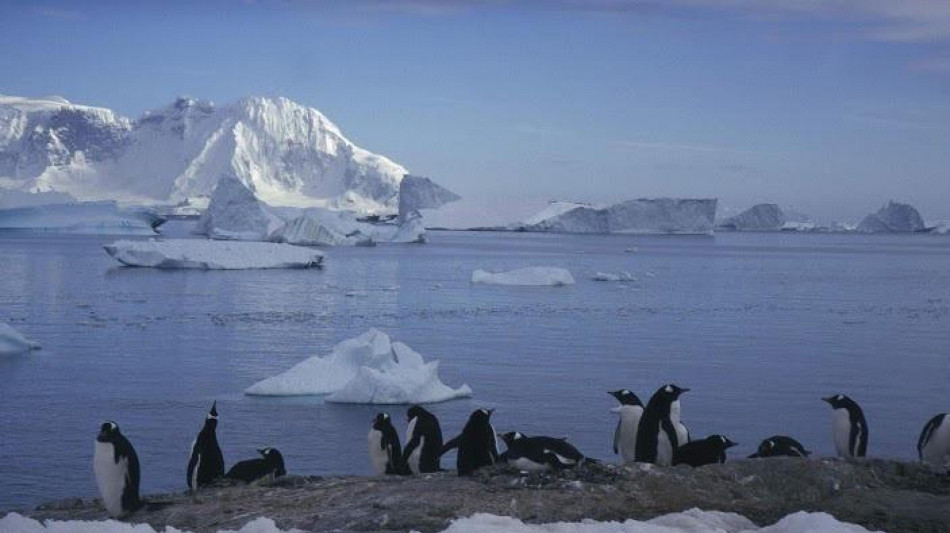 La variazione della dieta dei pinguini vista dai satelliti