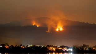 Incendies au Chili: couvre-feu d&eacute;cr&eacute;t&eacute; dans les zones les plus touch&eacute;es 