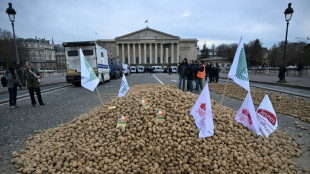Bumper potato harvests spell crisis for European farmers