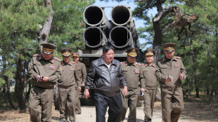 'Da Kim forniture militari totali a Mosca per tre brigate'