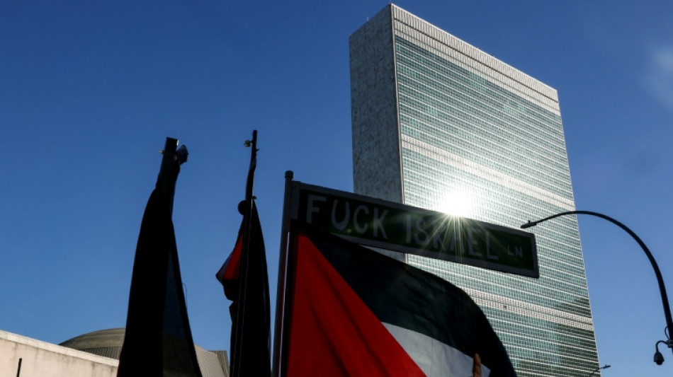 Francia y otros pa&iacute;ses europeos reconocen en la ONU el Estado palestino