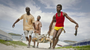 Sur la c&ocirc;te k&eacute;nyane, la petite ONG qui sauve les tortues par milliers
