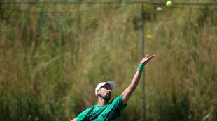 Djokovic, Sinner enter Wimbledon fray 