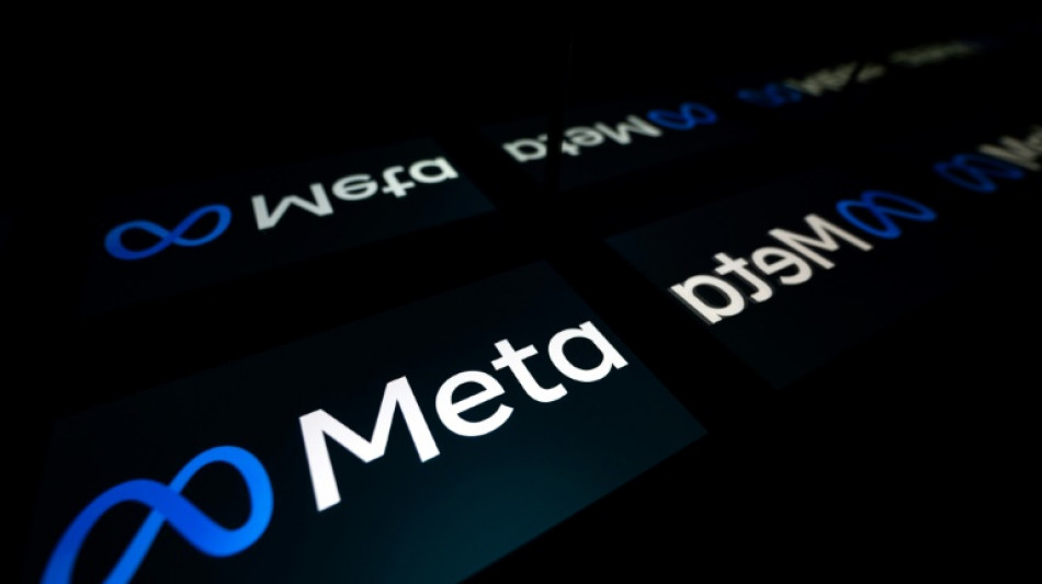 L'Allemagne salue les avanc&eacute;es de Meta pour une utilisation "plus transparente" des donn&eacute;es