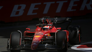 Leclerc domina a los Red Bull en la primera jornada de libres del GP de Azerbaiy&aacute;n