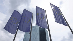 Nach sieben Senkungen: Europ&auml;ische Zentralbank l&auml;sst Leitzinsen unver&auml;ndert