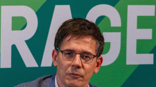 Verdi Ue, 's&igrave; a von der Leyen se entriamo in coalizione'