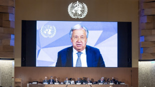 Guterres, indagine immediata su palestinesi uccisi a Gaza