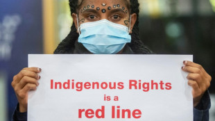 Ind&iacute;genas piden que el acuerdo de biodiversidad reconozca sus derechos