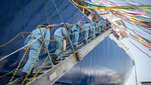 Le nouveau navire baleinier japonais d&eacute;bute sa premi&egrave;re campagne de chasse