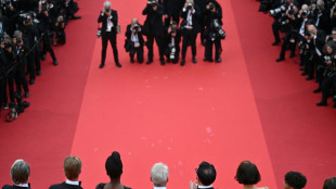&iquest;Tiene Hollywood miedo del Festival de Cannes?