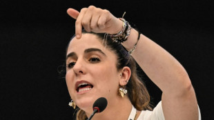 El destino de los tiburones m&aacute;s traficados del mundo se decide en cumbre en Panam&aacute;