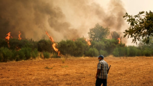 Deutschland stöhnt unter Hitzewelle - Waldbrände wüten in Südeuropa
