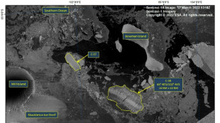 Una barrera de hielo tan grande como Los &Aacute;ngeles se funde en la Ant&aacute;rtida
