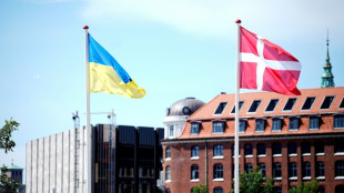 L'Ukraine organise au Danemark une r&eacute;union sur la paix