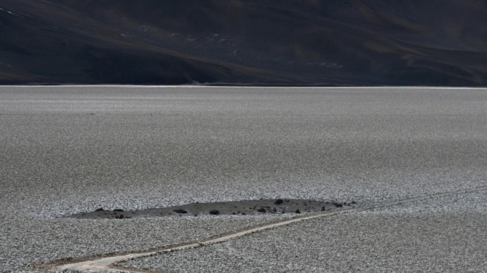 La empresa estatal chilena acusa ante la justicia a francesa Eramet de "entorpecer" un proyecto de litio