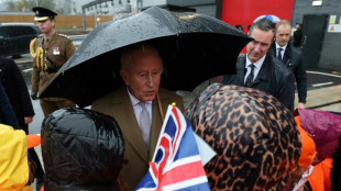 Le roi Charles III fête ses 77 ans, déterminé à travailler malgré son cancer