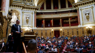 Piratas prorrusos reivindican el bloqueo de la web del Senado franc&eacute;s