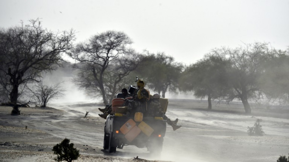 Niger: au moins 17 soldats tu&eacute;s dans une attaque pr&egrave;s du Mali