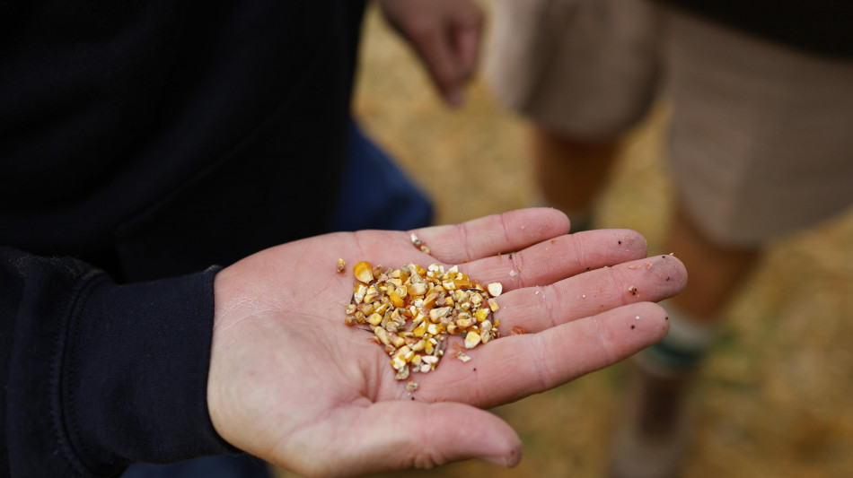 Slow Food, divieti pesticidi Ue valgano anche in Paesi terzi