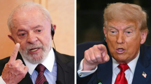 Como o tarifaço de Trump afeta o Brasil?