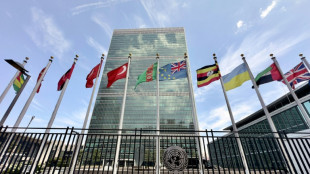 Aide transfrontali&egrave;re: l'ONU &eacute;voque des conditions "inacceptables" de Damas (document)