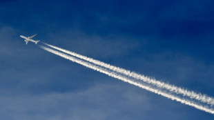 Davantage de passagers a&eacute;riens en France qu'avant le Covid-19, mais march&eacute; int&eacute;rieur d&eacute;prim&eacute; 