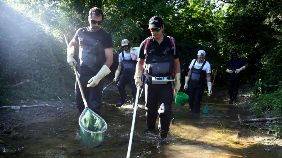 S&eacute;cheresse: en Charente, des p&ecirc;cheurs sauvent des poissons d'un "d&eacute;sert"
