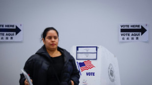 Mulher nos EUA é acusada de registrar sua cadela para votar