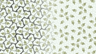 Un amateur d&eacute;couvre une forme math&eacute;matique in&eacute;dite et &eacute;pate les plus grands savants