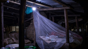 Paludisme: une esp&egrave;ce invasive de moustique gagne du terrain en Afrique