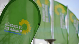Gr&uuml;ne wollen im Europa-Wahlkampf f&uuml;r Klima und soziale Gerechtigkeit eintreten