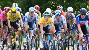 Schwerer Sturz auf dritter Etappe der Polen-Rundfahrt