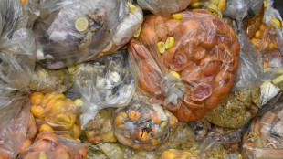 UE aprova lei contra desperdício de alimentos e resíduos da fast fashion