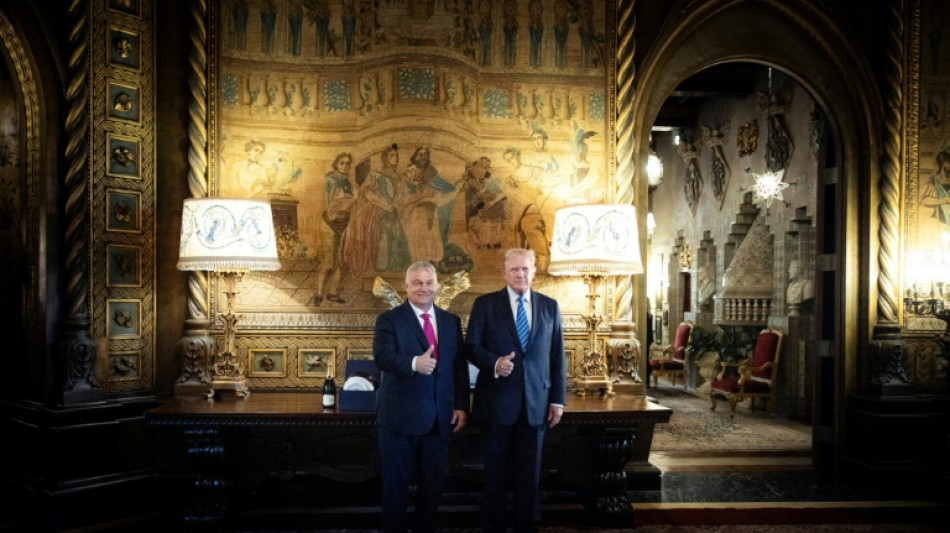 El primer ministro h&uacute;ngaro Orban se re&uacute;ne con Trump tras la cumbre de la OTAN