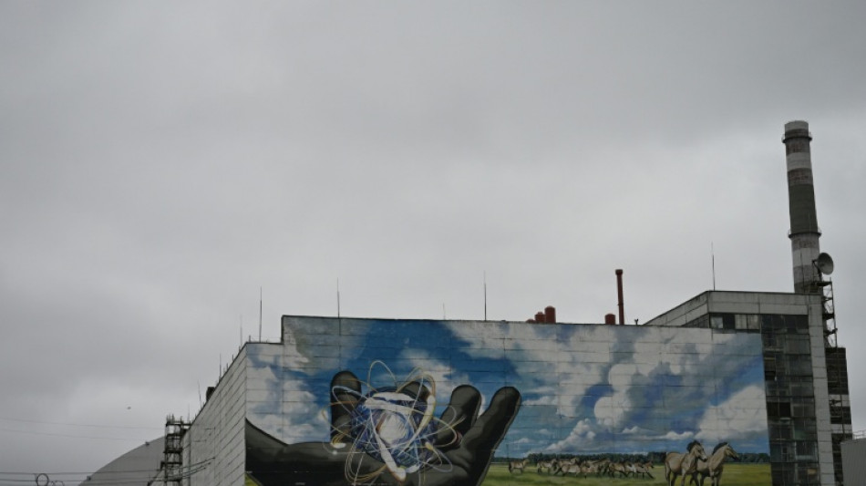 Risque de rejets radioactifs en cas d'effondrement de l'enceinte de confinement de Tchernobyl, selon Greenpeace