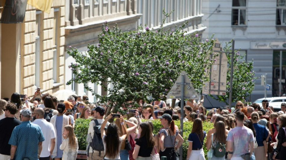 F&atilde;s de Taylor Swift ficam com 'cora&ccedil;&atilde;o partido' ap&oacute;s cancelamento de shows em Viena
