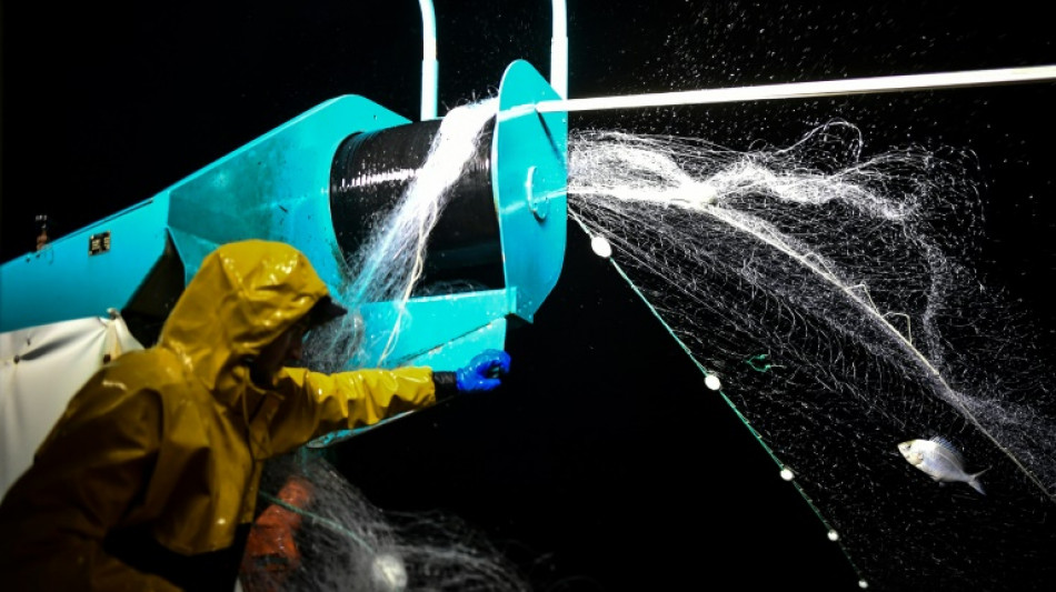 Dauphins: r&eacute;ouverture de la p&ecirc;che dans le golfe de Gascogne, apr&egrave;s quatre semaines d'arr&ecirc;t