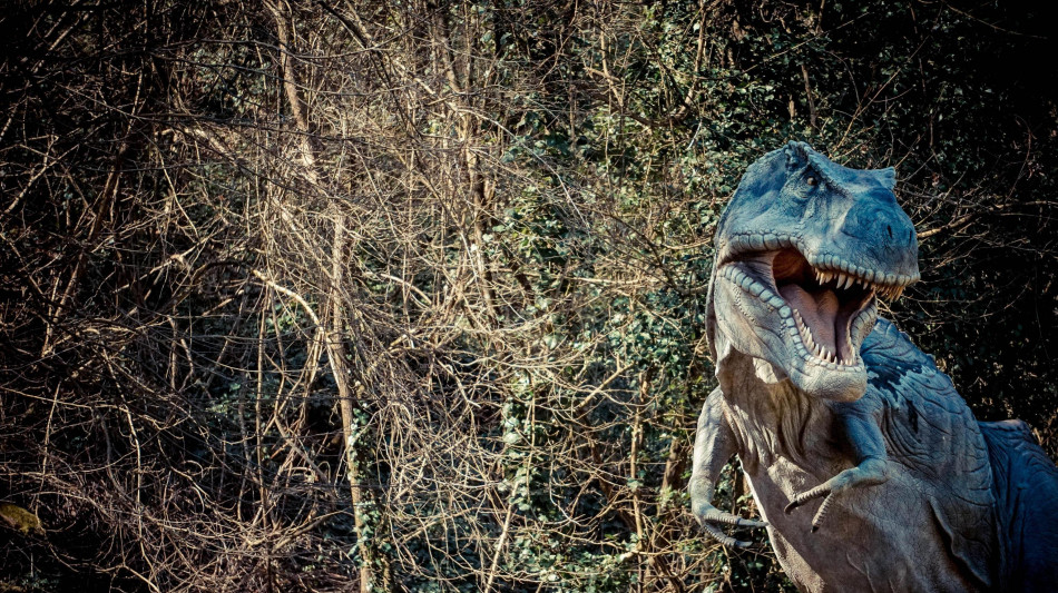 I dinosauri prosperarono fino alla fine, nessun lento declino