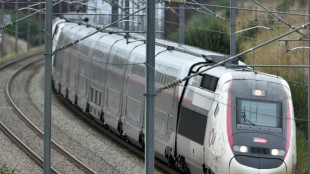 Gewerkschaften rufen zu Bahn-Streiks in Frankreich auf