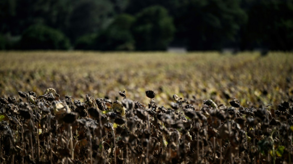 Umfrage: Besorgnis über gesundheitsschädliche Umweltprobleme sinkt