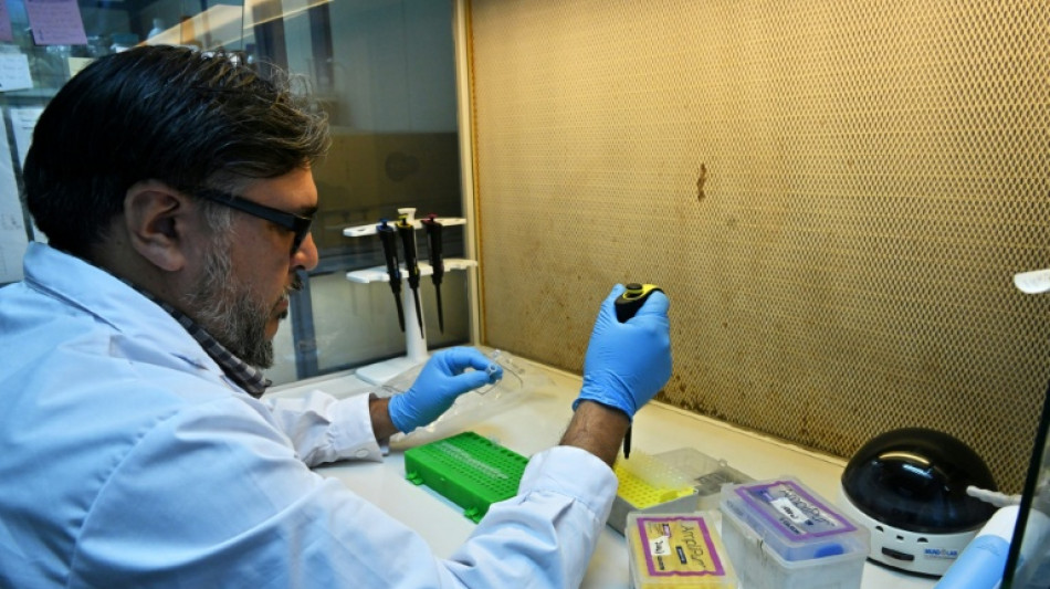 La grippe aviaire menace la faune de l'Antarctique 