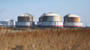 Il prezzo del gas sui massimi dal dicembre del 2022 a 89 euro