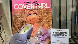 Something for moi? Miss Piggy's shoes go under the hammer