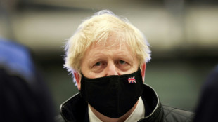 Untersuchung sieht "F&uuml;hrungsversagen" der Regierung in "Partygate"-Skandal