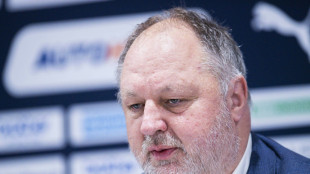 Michelmann: EM eine Chance f&uuml;r den gesamten Handball