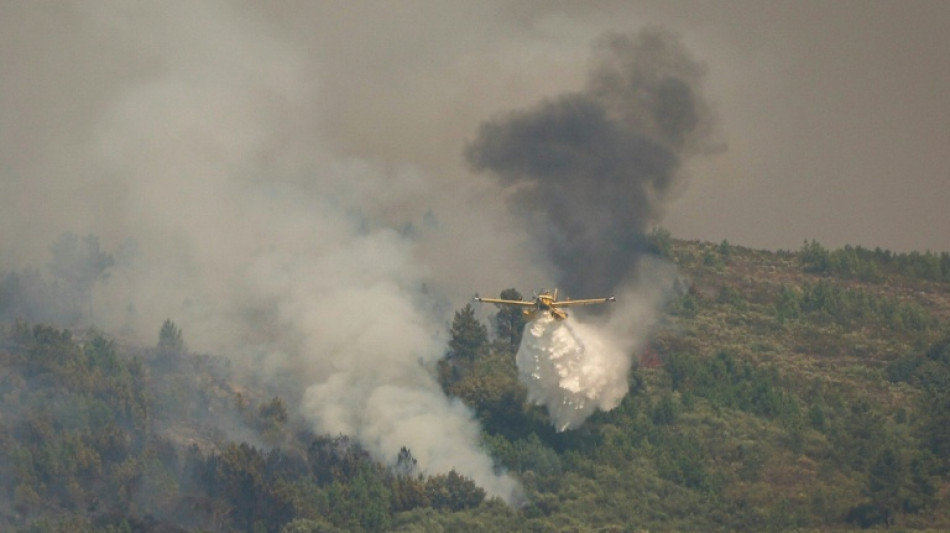 La UE trabaja "sin descanso" para ayudar a los pa&iacute;ses afectados por los incendios