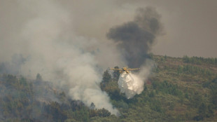 La UE trabaja "sin descanso" para ayudar a los pa&iacute;ses afectados por los incendios